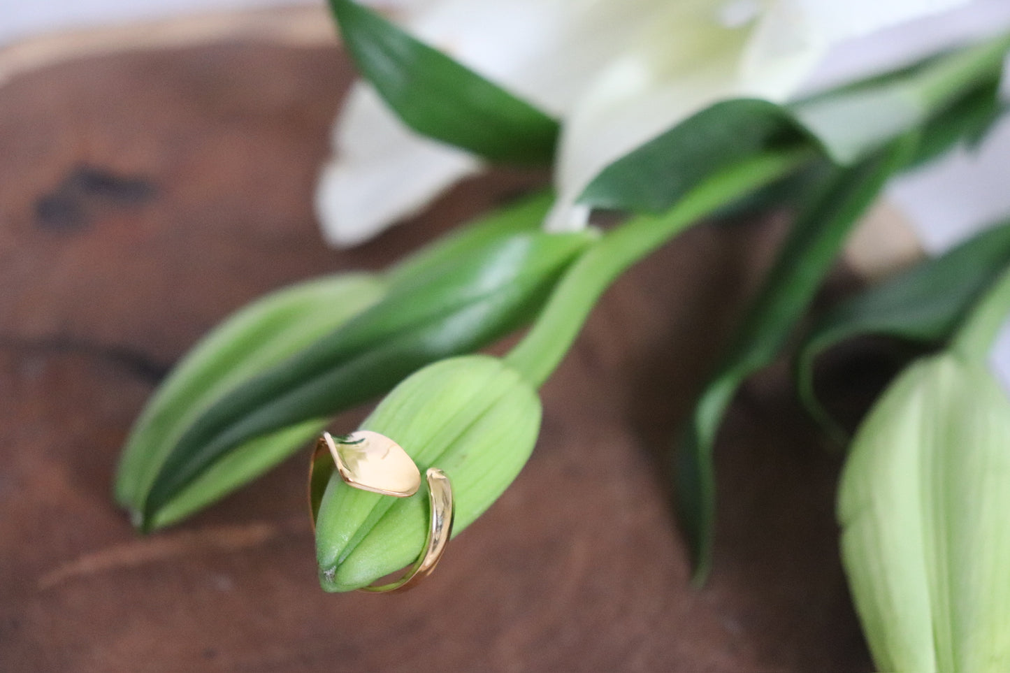 Anillo Tipu