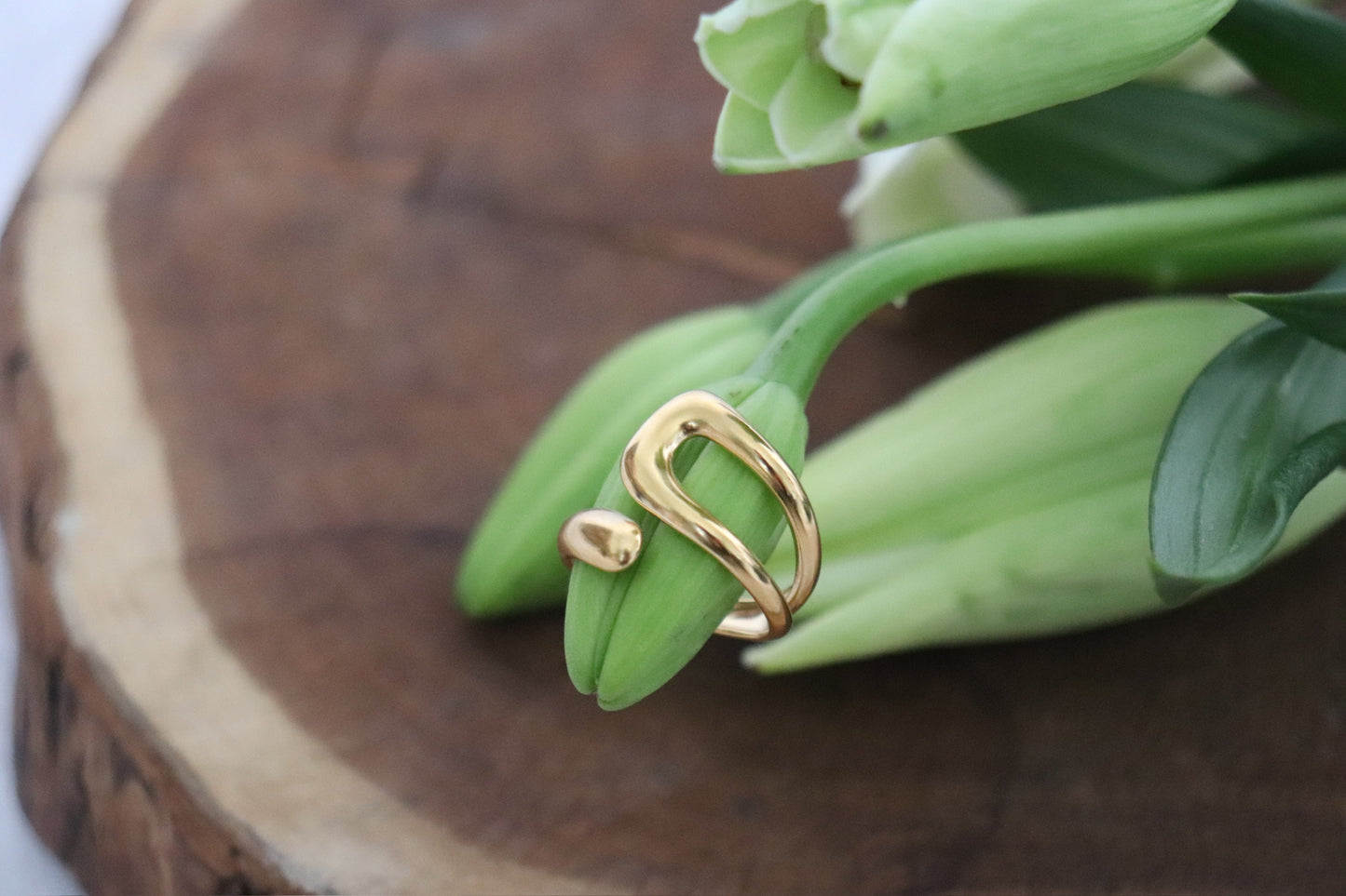 Anillo Anbu